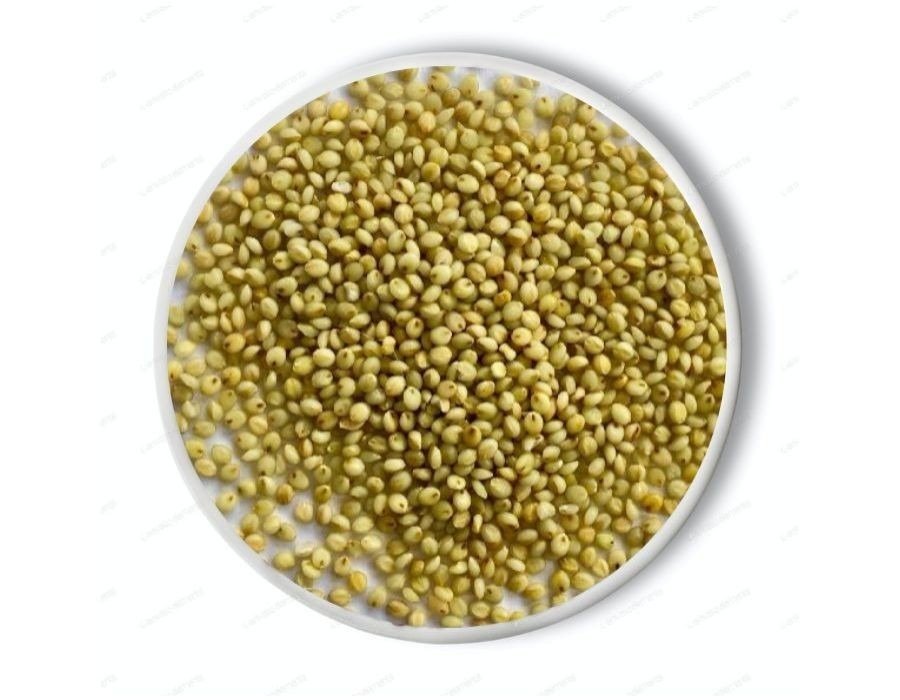 Browntop Millet