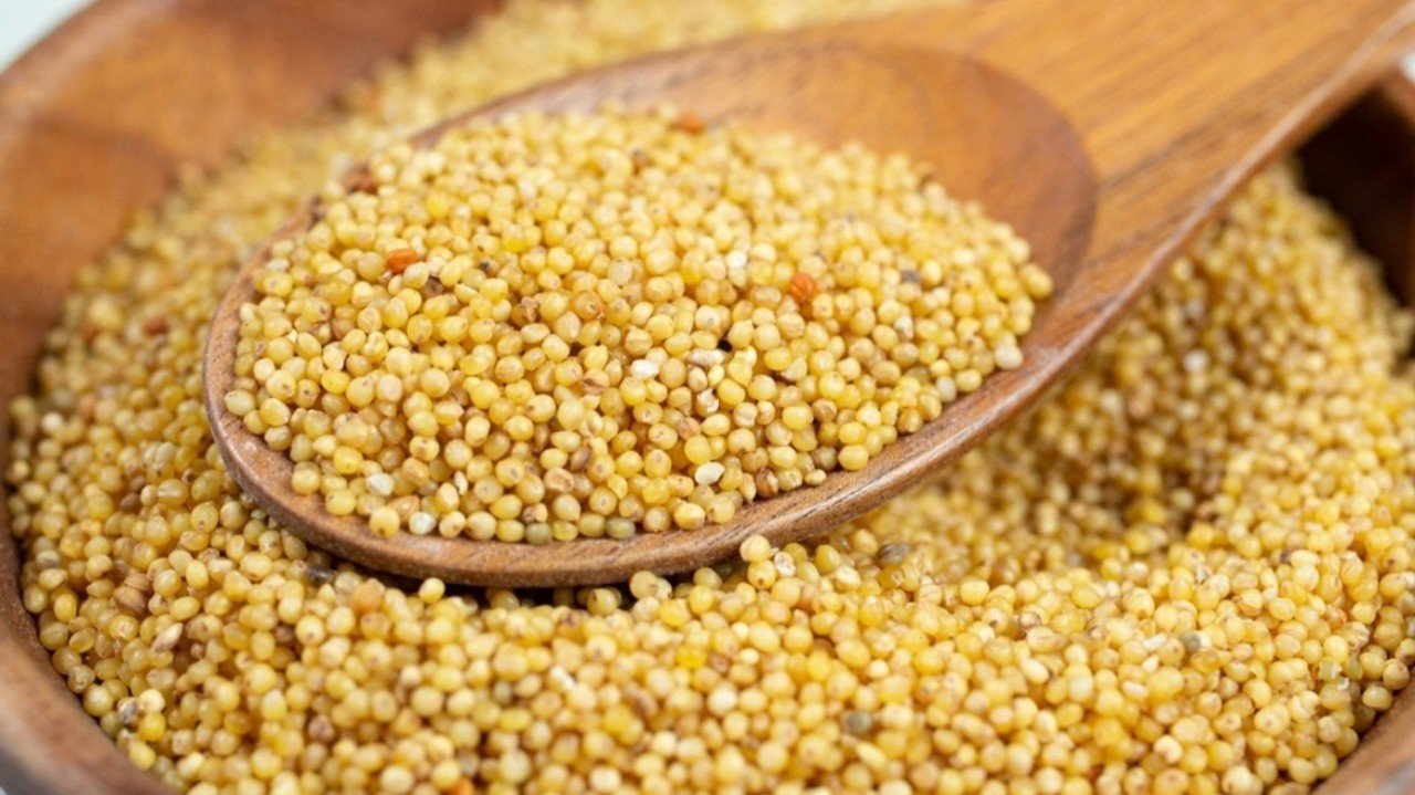 Foxtail Millets
