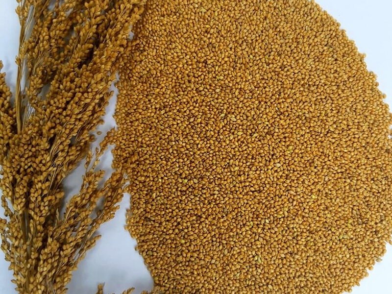 Little Millets with huge benefits